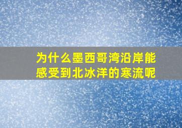 为什么墨西哥湾沿岸能感受到北冰洋的寒流呢