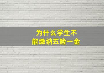 为什么学生不能缴纳五险一金