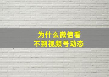 为什么微信看不到视频号动态