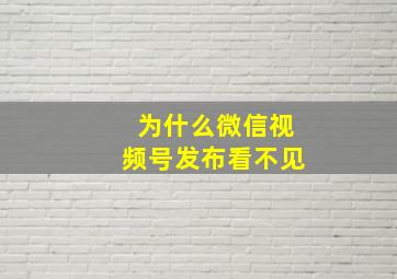 为什么微信视频号发布看不见