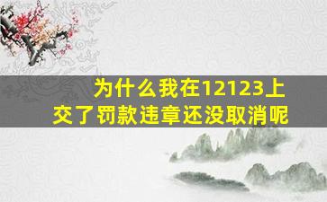 为什么我在12123上交了罚款违章还没取消呢