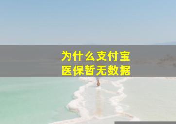 为什么支付宝医保暂无数据