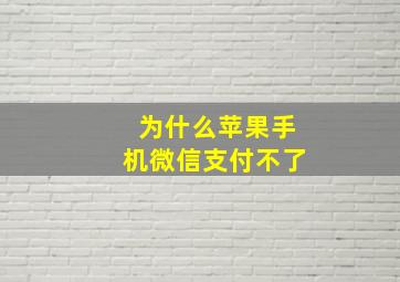 为什么苹果手机微信支付不了