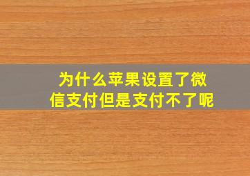 为什么苹果设置了微信支付但是支付不了呢