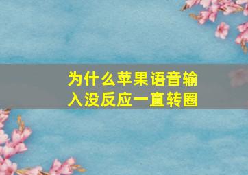 为什么苹果语音输入没反应一直转圈