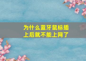 为什么蓝牙鼠标插上后就不能上网了