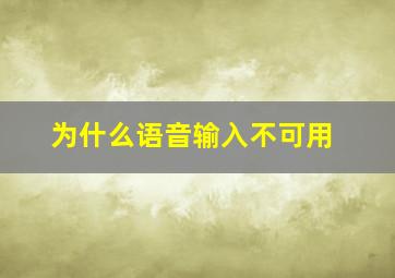 为什么语音输入不可用