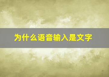 为什么语音输入是文字