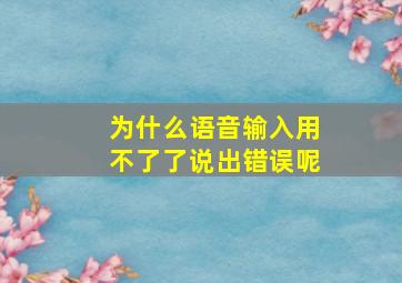 为什么语音输入用不了了说出错误呢