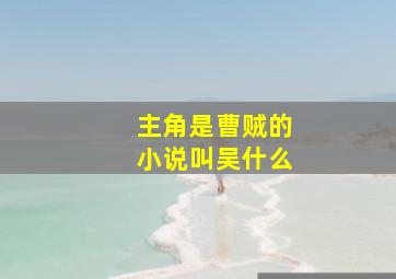 主角是曹贼的小说叫吴什么