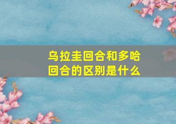 乌拉圭回合和多哈回合的区别是什么