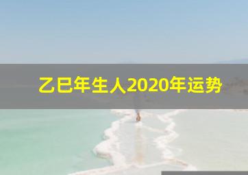 乙巳年生人2020年运势