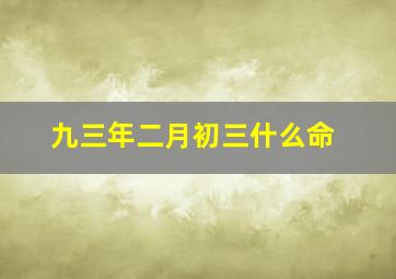 九三年二月初三什么命