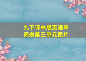 九下译林版英语单词表第三单元图片