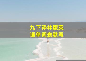 九下译林版英语单词表默写