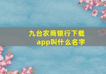 九台农商银行下载app叫什么名字