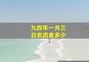 九四年一月三日农历是多少