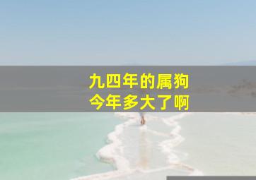 九四年的属狗今年多大了啊