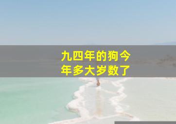 九四年的狗今年多大岁数了