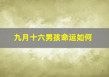 九月十六男孩命运如何