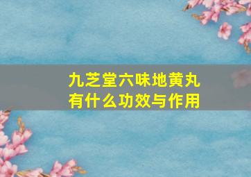 九芝堂六味地黄丸有什么功效与作用