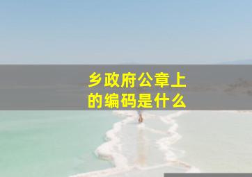 乡政府公章上的编码是什么