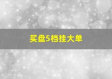 买盘5档挂大单