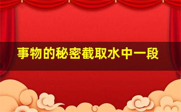 事物的秘密截取水中一段