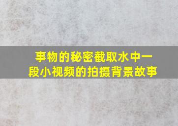 事物的秘密截取水中一段小视频的拍摄背景故事