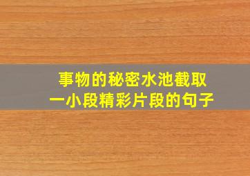 事物的秘密水池截取一小段精彩片段的句子