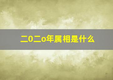 二0二o年属相是什么