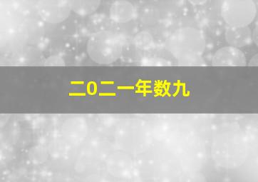 二0二一年数九