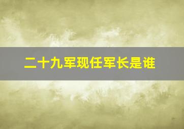 二十九军现任军长是谁