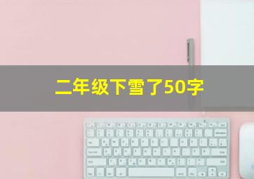 二年级下雪了50字