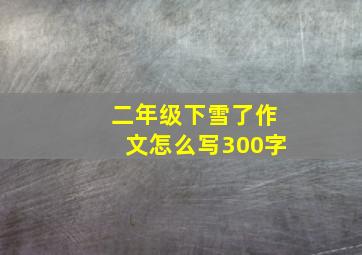 二年级下雪了作文怎么写300字