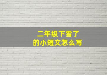 二年级下雪了的小短文怎么写