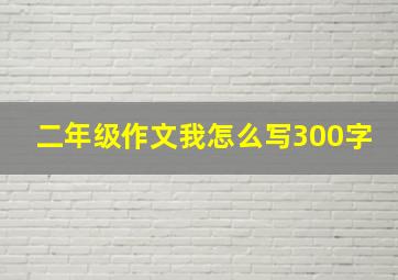 二年级作文我怎么写300字