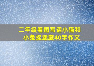 二年级看图写话小猫和小兔捉迷藏40字作文