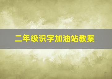 二年级识字加油站教案