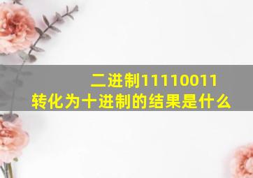 二进制11110011转化为十进制的结果是什么