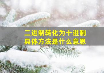 二进制转化为十进制具体方法是什么意思