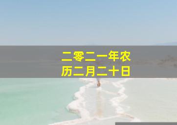 二零二一年农历二月二十日