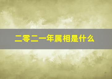 二零二一年属相是什么