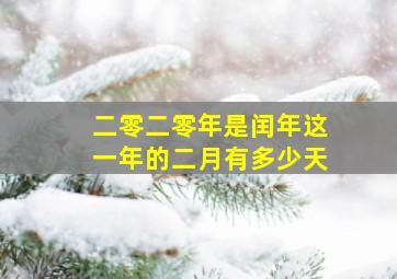 二零二零年是闰年这一年的二月有多少天