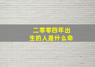 二零零四年出生的人是什么命