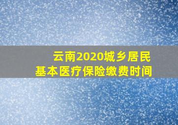 云南2020城乡居民基本医疗保险缴费时间