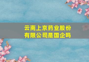 云南上京药业股份有限公司是国企吗