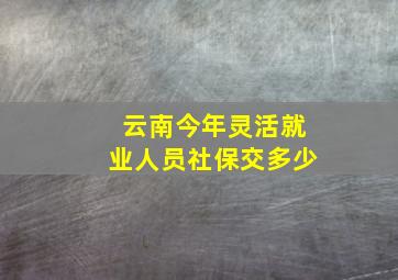 云南今年灵活就业人员社保交多少