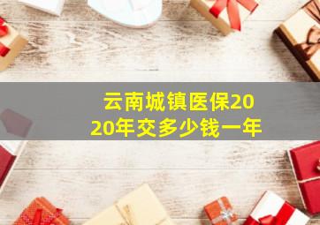 云南城镇医保2020年交多少钱一年