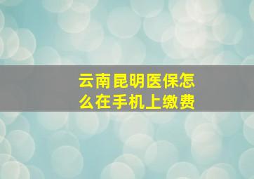 云南昆明医保怎么在手机上缴费